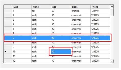 Resize columns and rows in DataGridView control .